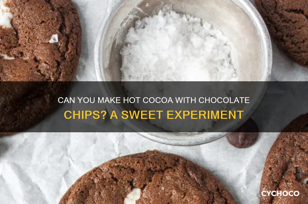 can you make hot cocoa with chocolate chips