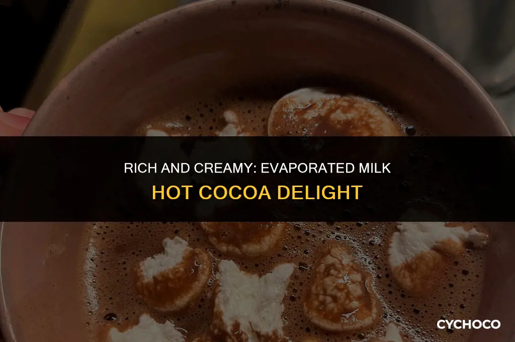can you make hot cocoa with evaporated milk
