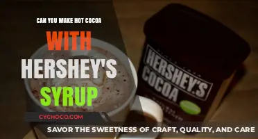 Sweet Treats: Crafting the Perfect Hot Cocoa with Hershey's Syrup