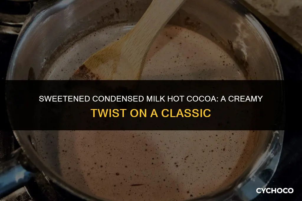 can you make hot cocoa with sweetened condensed milk