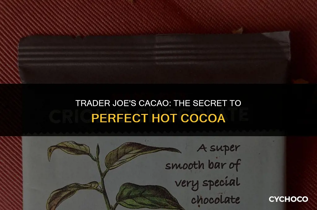can you make hot cocoa with trader joes cacao