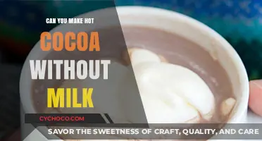 Dairy-Free Delight: How to Make Hot Cocoa Without Milk