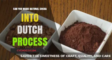 Transforming Natural Cocoa into Dutch Process: A Step-by-Step Guide