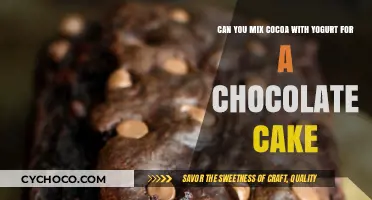 Decadent Chocolate Cake: The Perfect Cocoa-Yogurt Blend