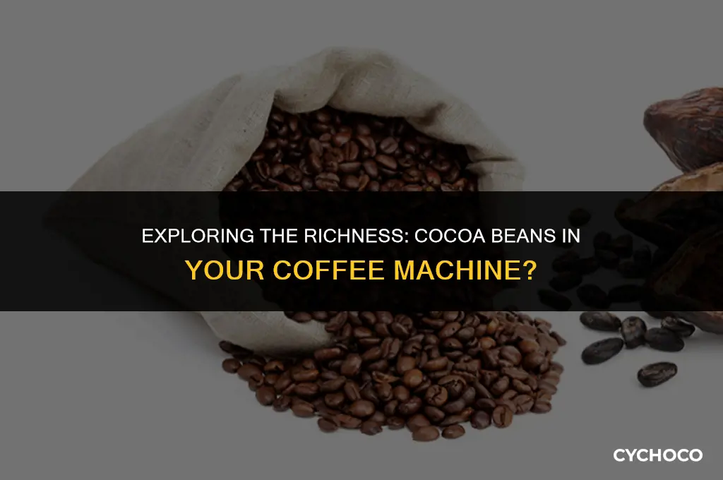can you put cocoa beans in a coffee machine
