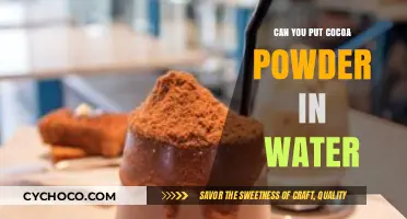 Exploring the Richness: Cocoa Powder and Water Combinations