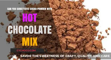 Substituting Cocoa Powder with Hot Chocolate Mix: A Sweet Alternative?