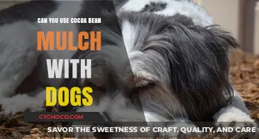 Cocoa Bean Mulch: A Safe Choice for Dog-Friendly Gardens?