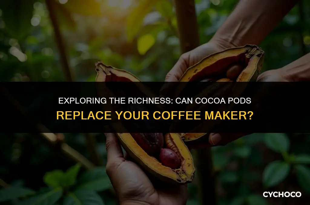 can you use cocoa pods directly without a coffee maker