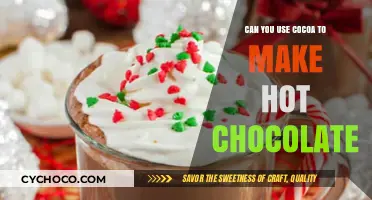 From Bean to Mug: Crafting the Perfect Cocoa Hot Chocolate
