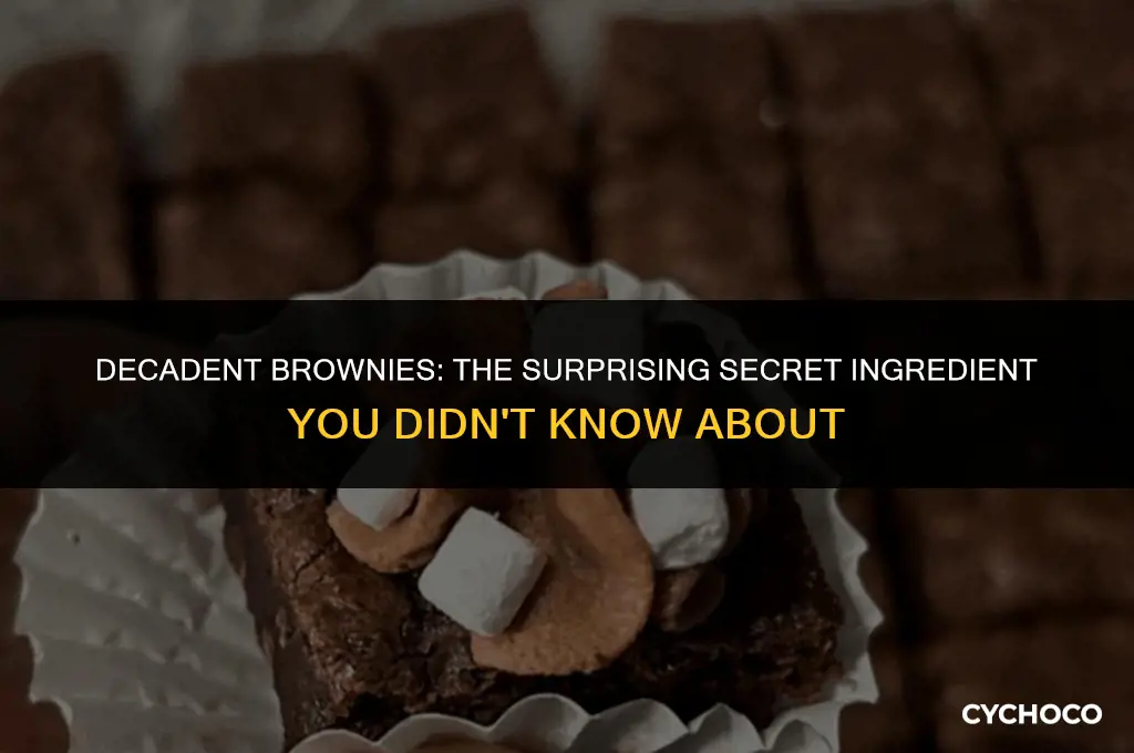 can you use hot cocoa powder to make brownies