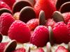 chip chocolate