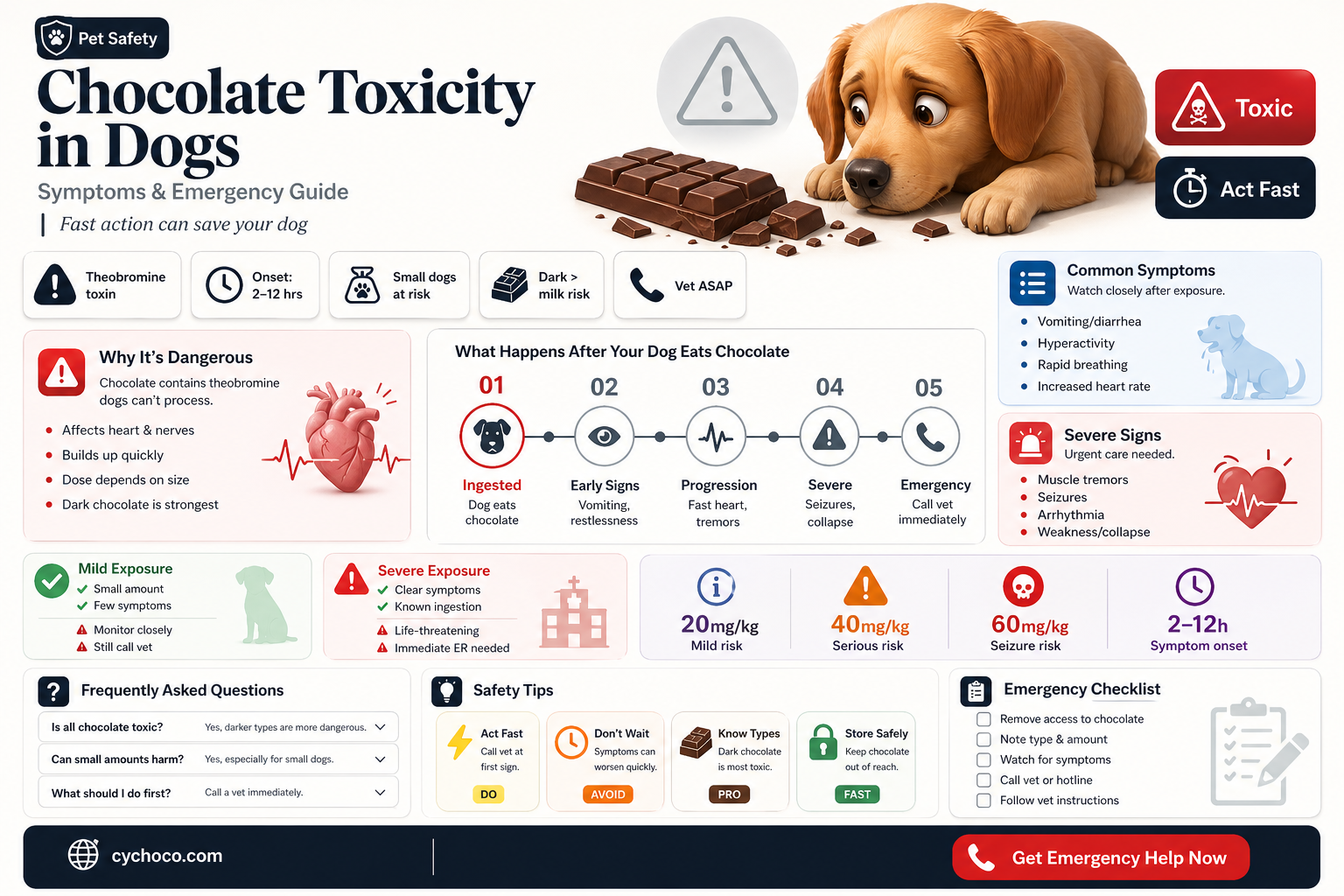 did my dog eat too much chocolate