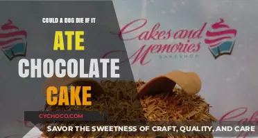 The Sweet Danger: Chocolate Cake's Lethal Threat to Dogs