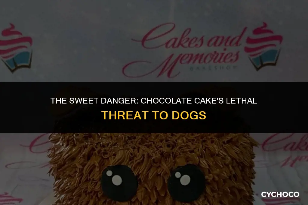 could a dog die if it ate chocolate cake