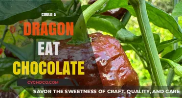 Could a Dragon's Fiery Breath Melt Chocolate? A Mythical Taste Test