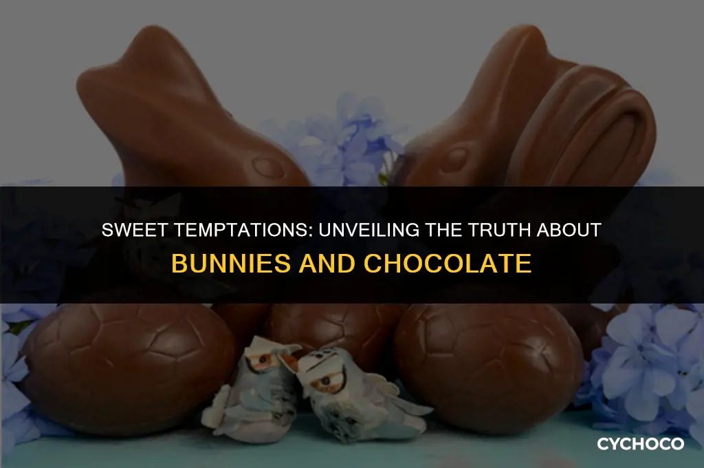 could bunnies eat chocolate