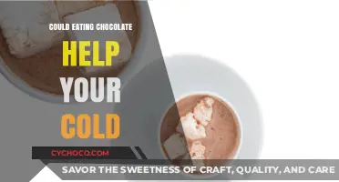 Sweet Relief: Can Chocolate Ease Your Cold Symptoms?