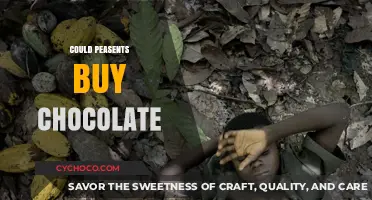 Sweet Dreams on a Budget: Could Peasants Afford Chocolate?