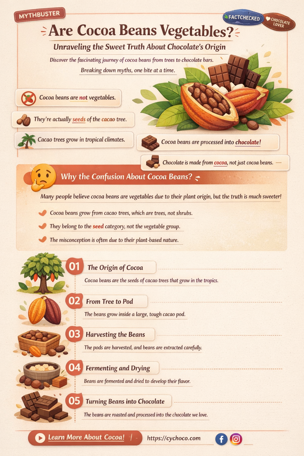 are cocoa beans a vegetable