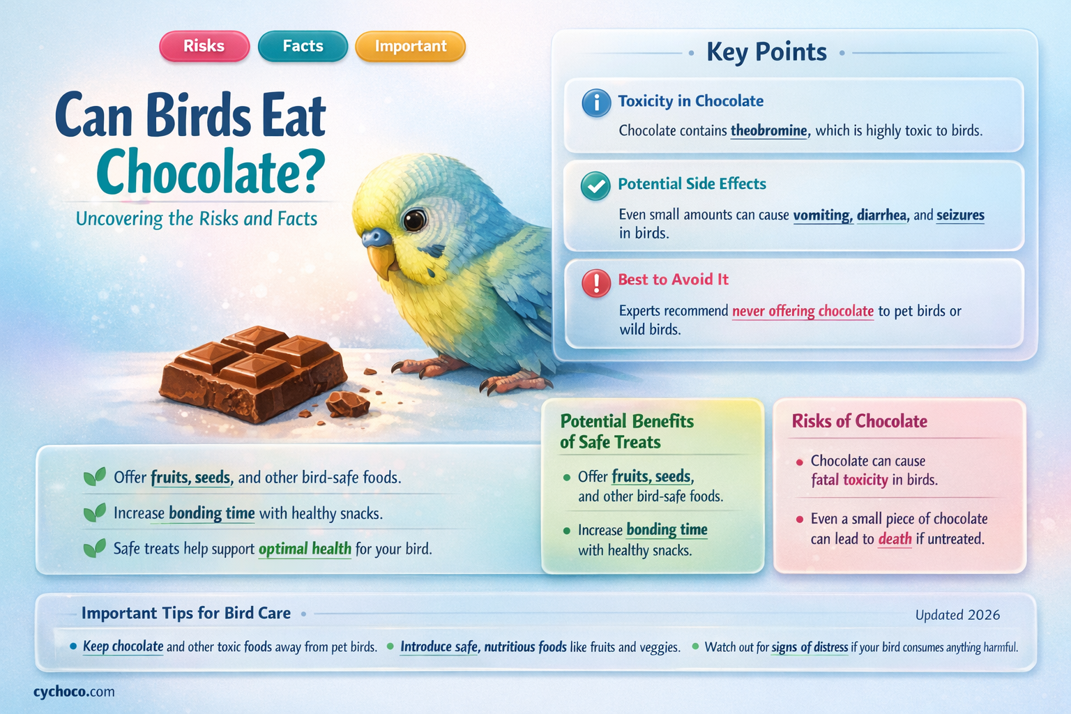 is chocolate bad for birds