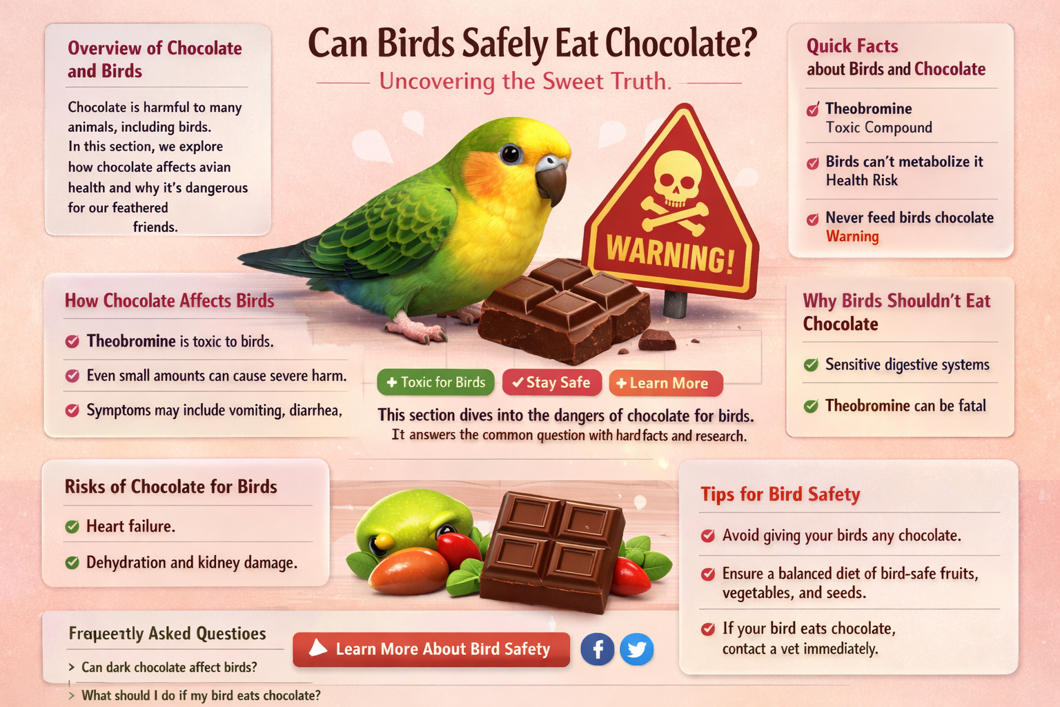 do birds eat chocolate