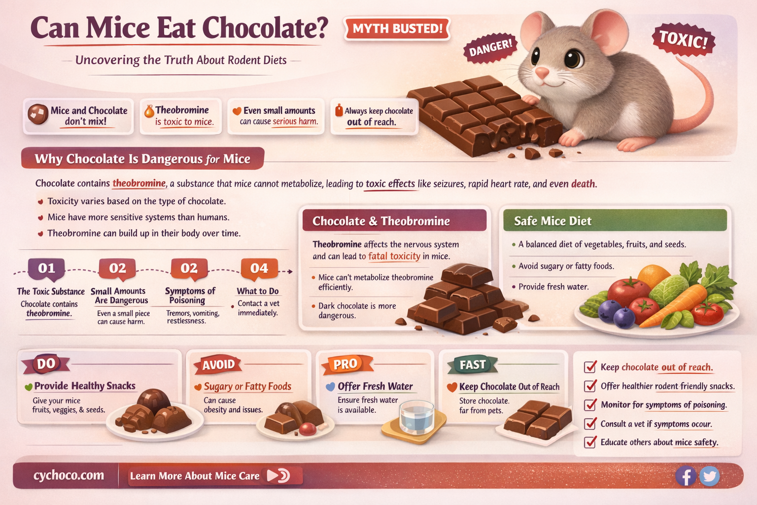 will mice eat chocolate