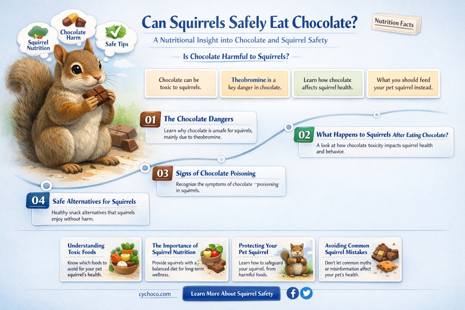 do squirrels eat chocolate