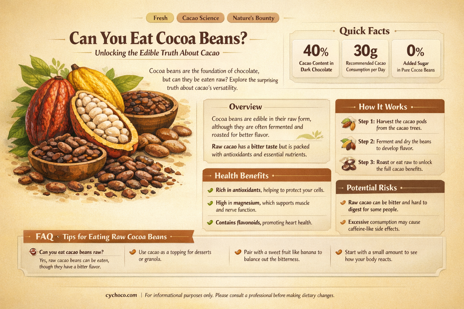 can you eat cocoa beans