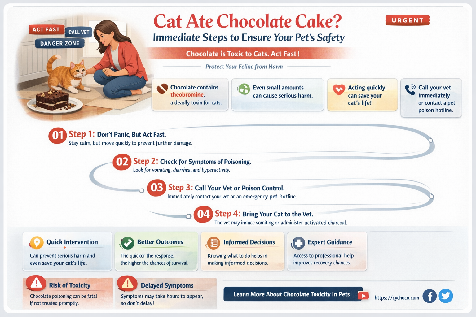 what to do if your cat eats chocolate cake