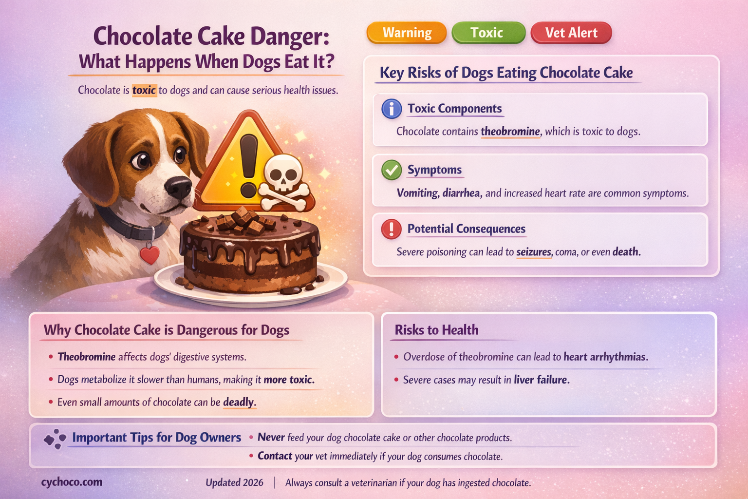 what happens if dog eats chocolate cake