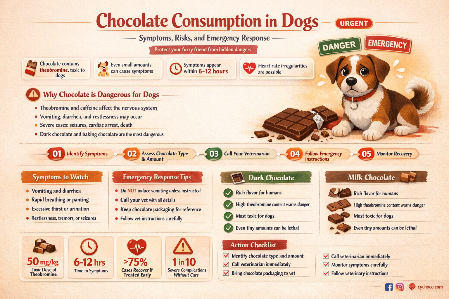 what if my dog has eaten chocolate