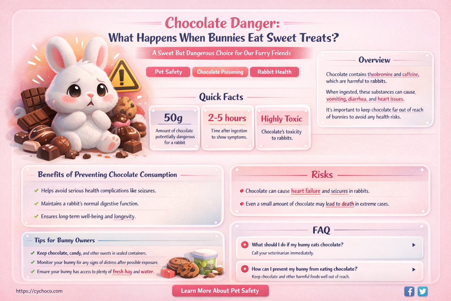 what happens if a bunny eats chocolate
