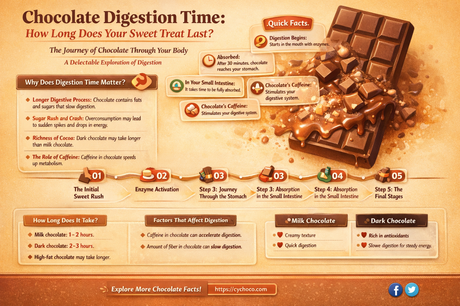 how long does chocolate take to digest