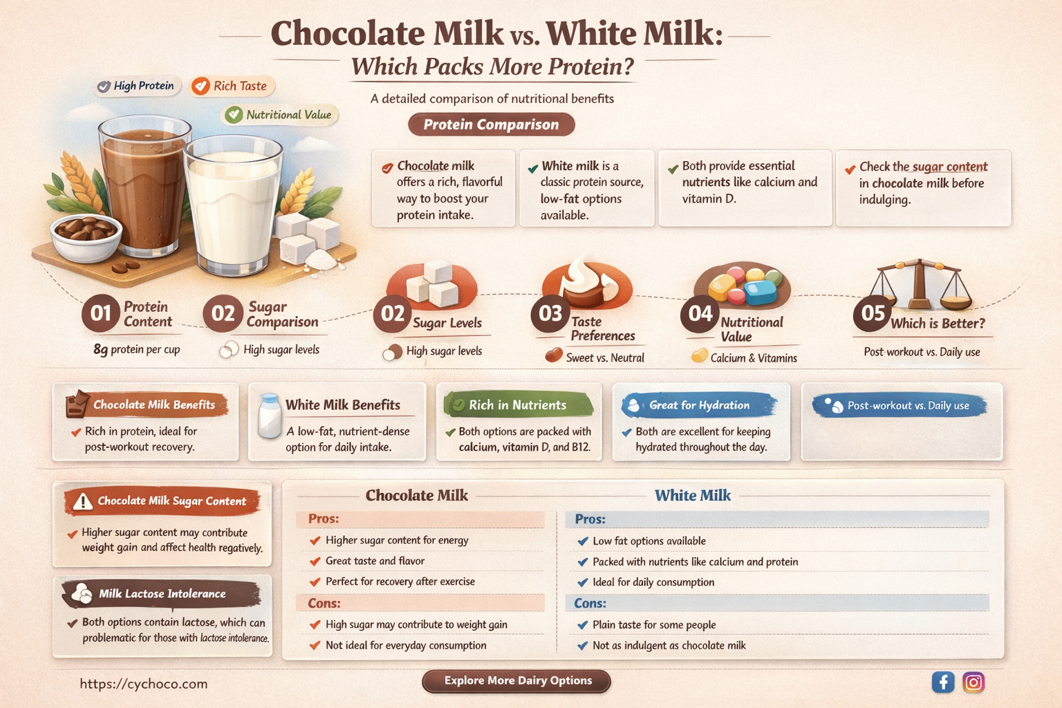 does chocolate milk have more protein than white milk