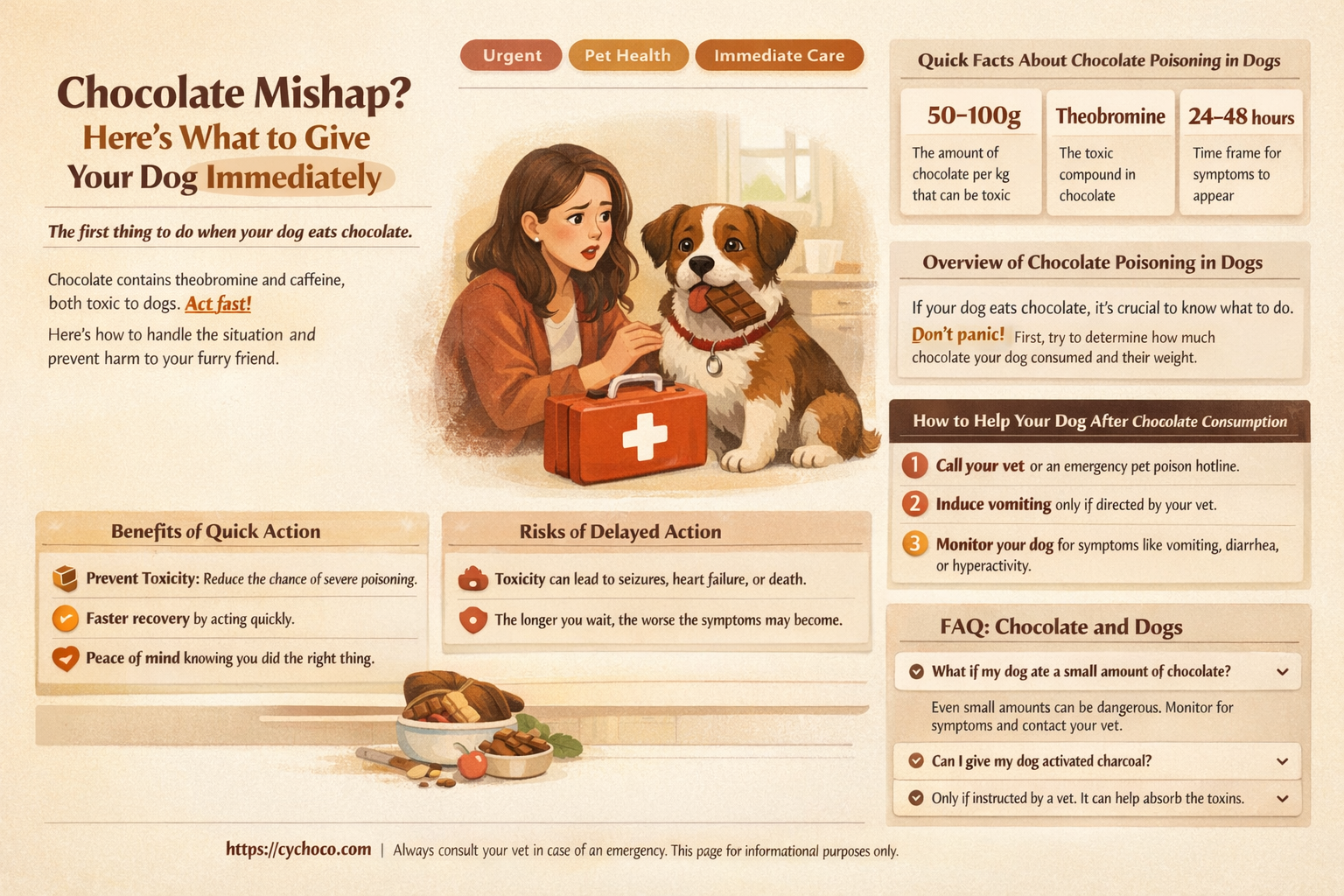 what to give your dog if they eat chocolate