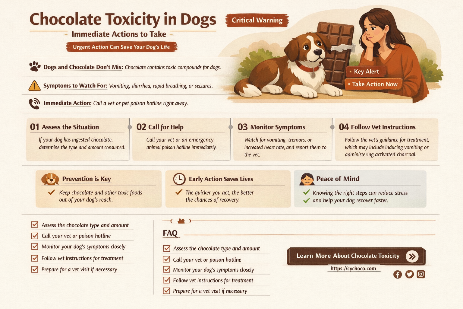 what to do dog eat chocolate