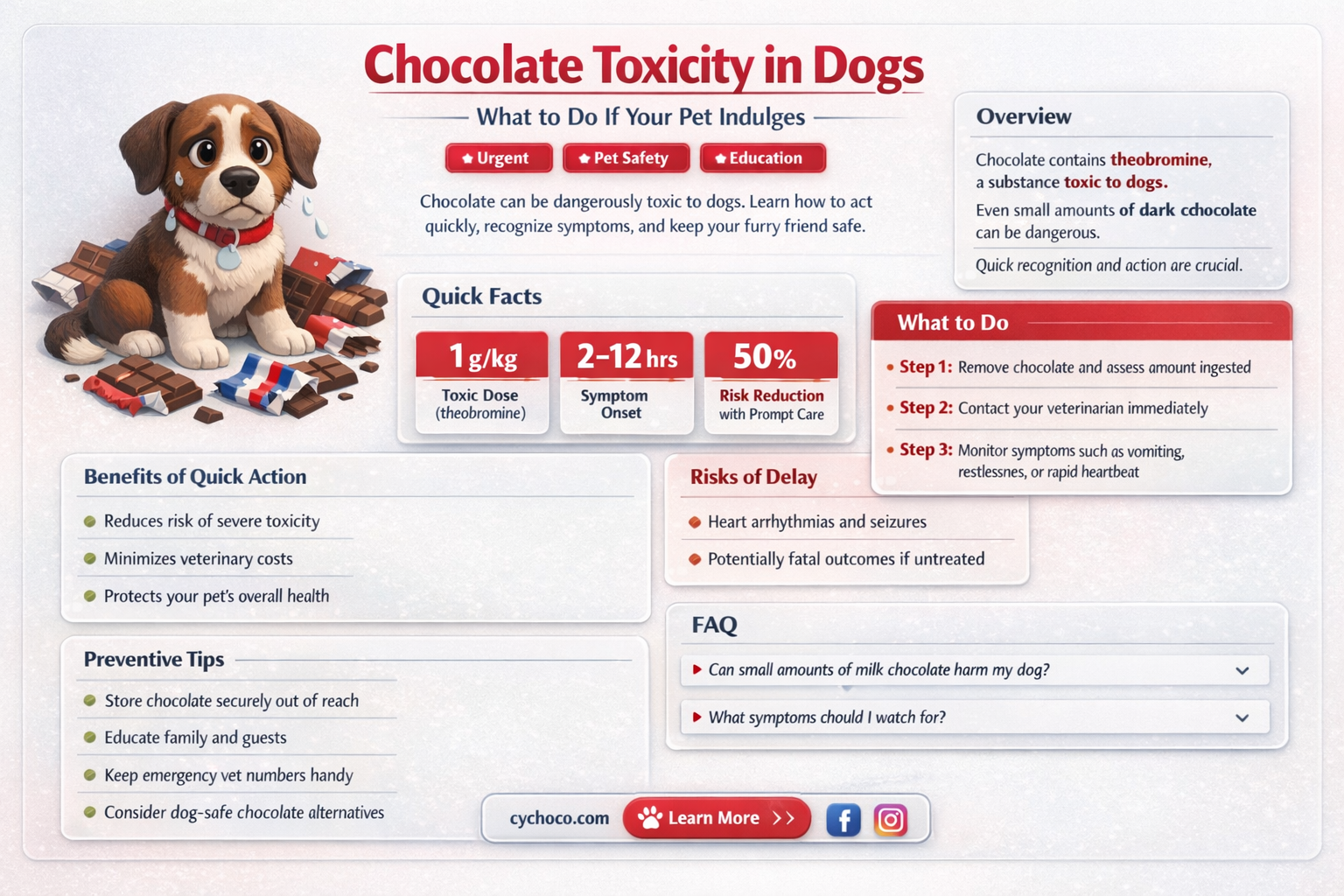 what to if my dog eats chocolate