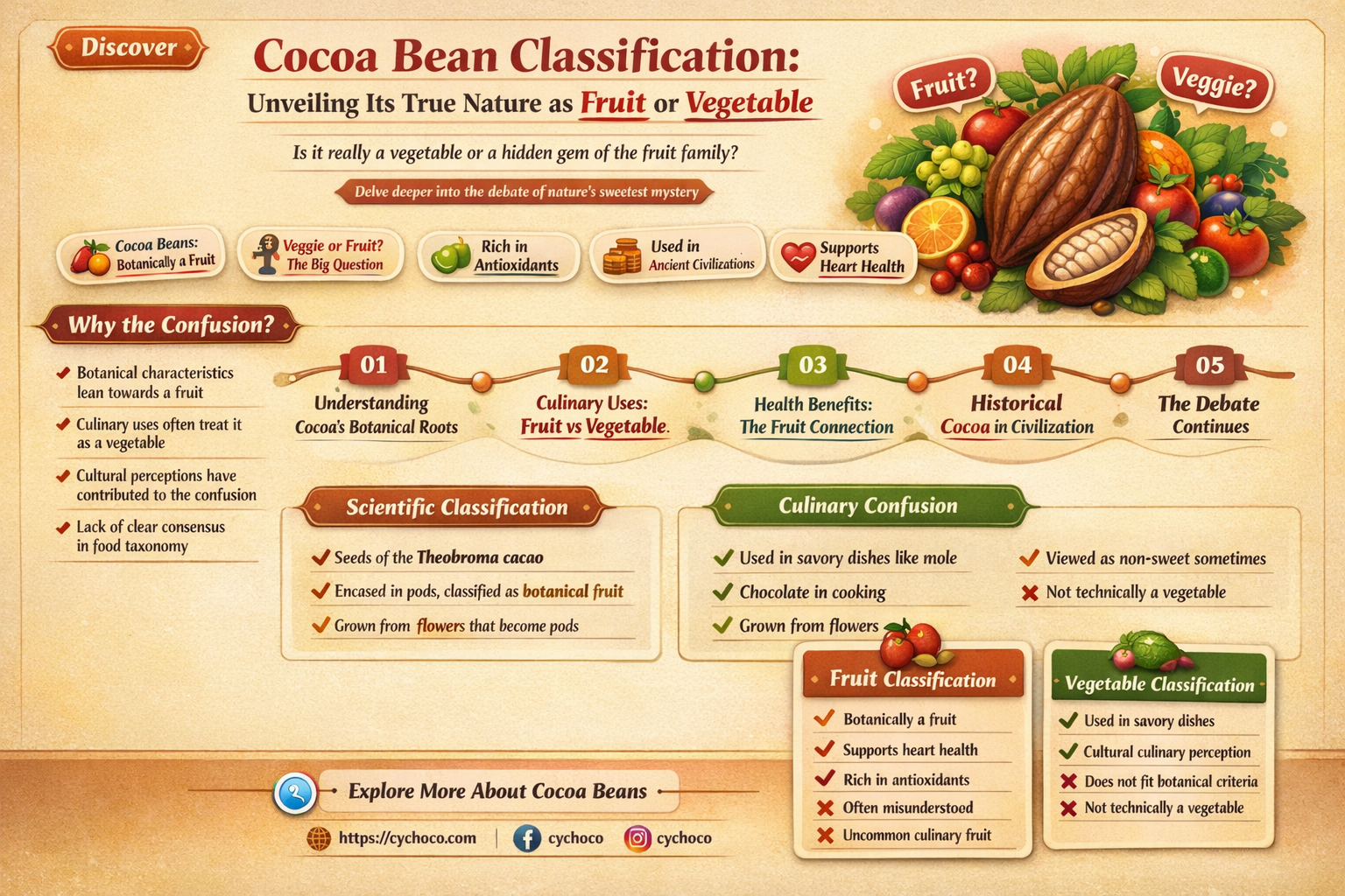 is a cocoa bean a fruit or vegetable