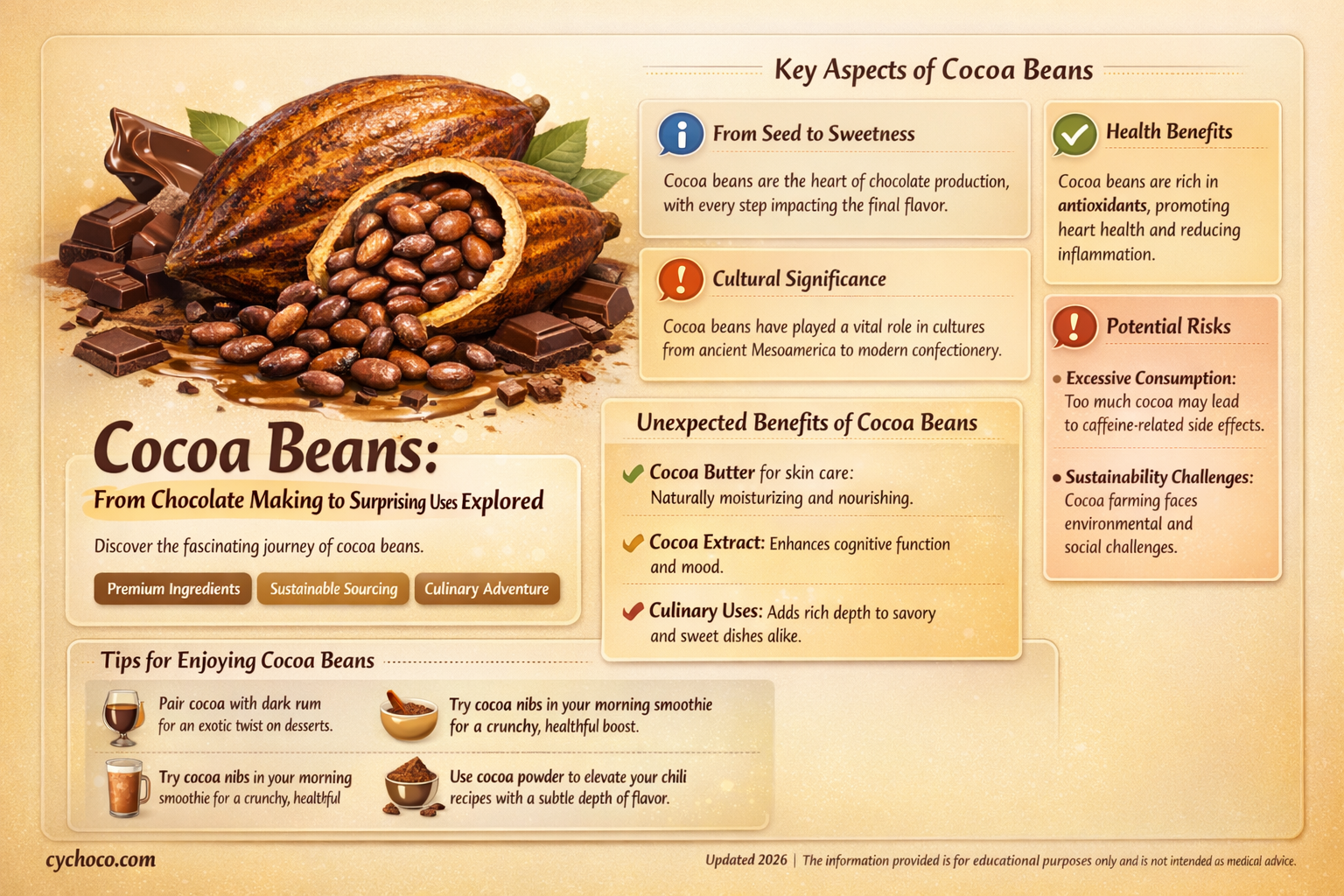 what are cocoa beans used for