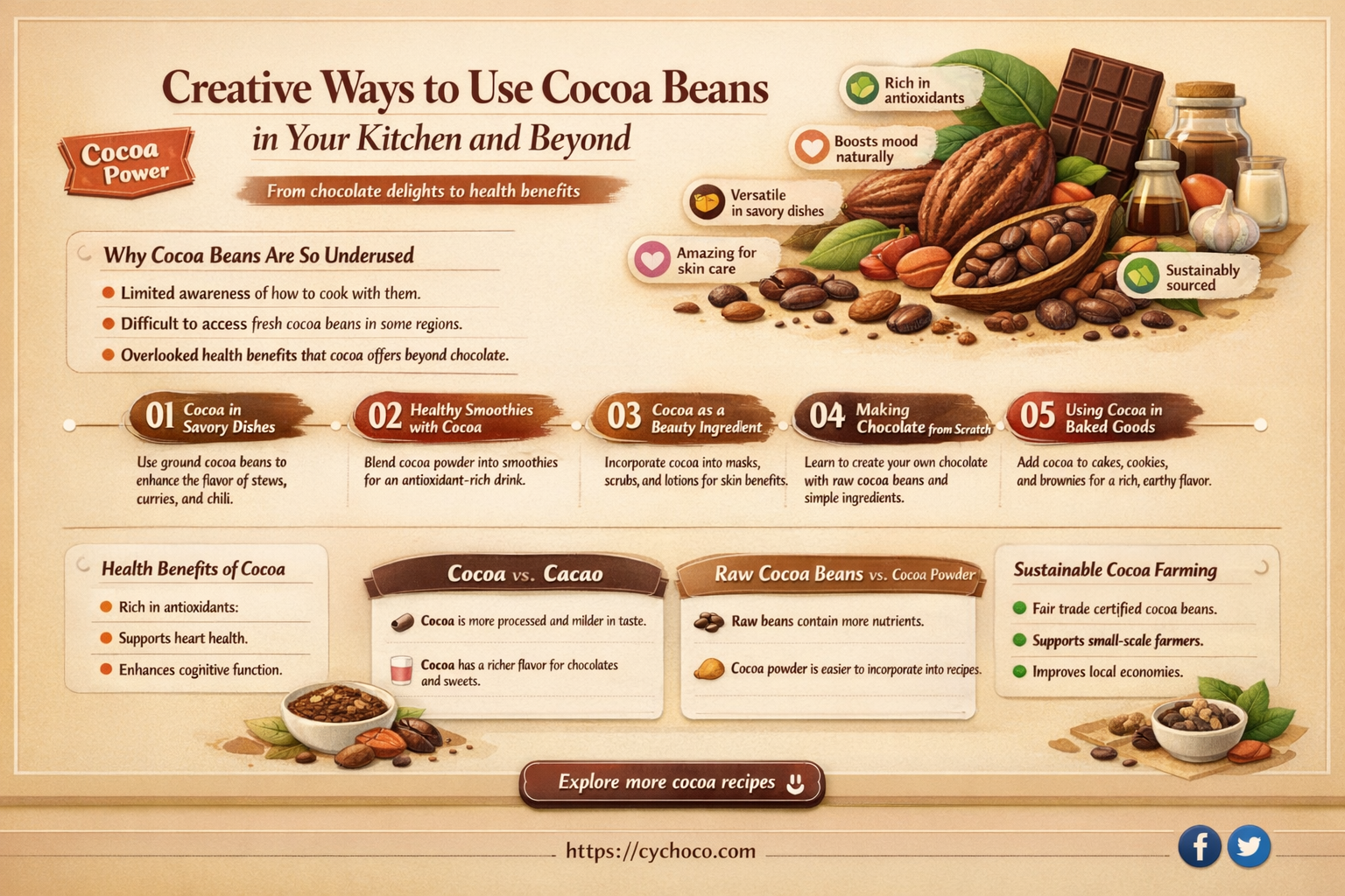what to do with cocoa beans