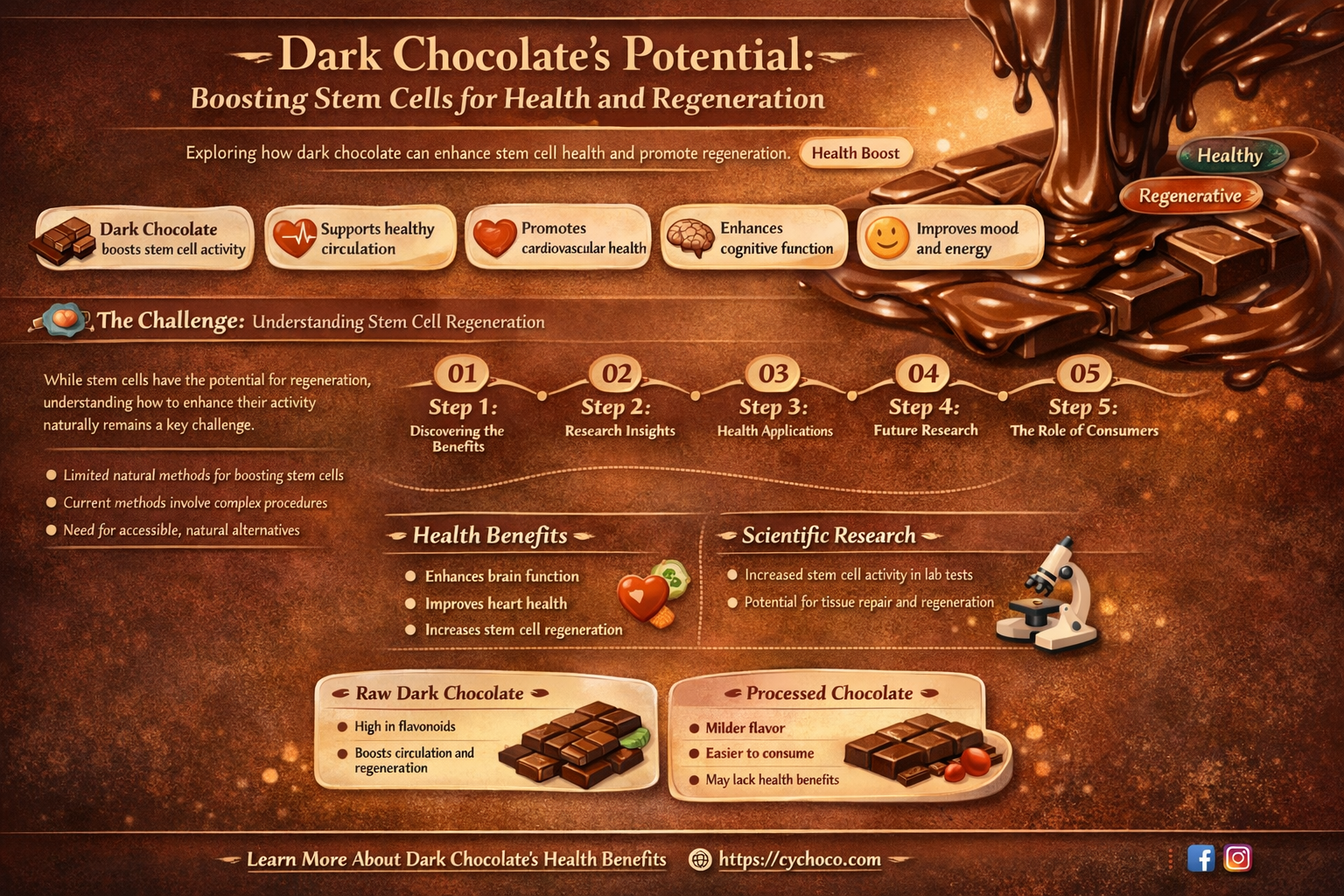 does dark chocolate increase stem cells