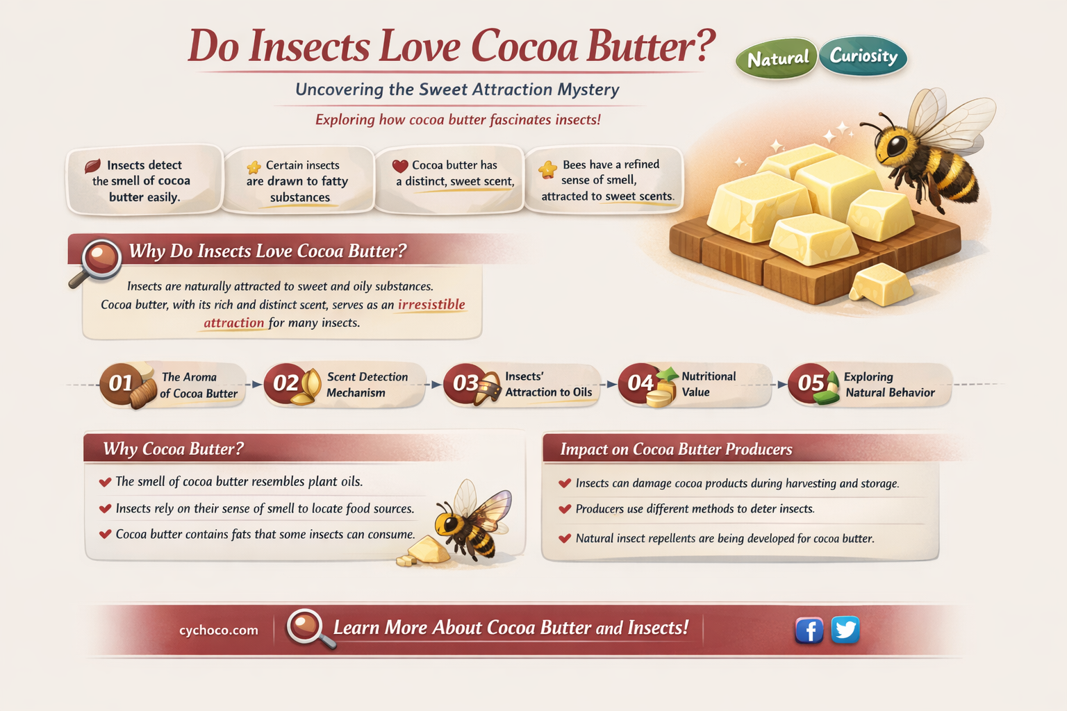 are insects attracted to cocoa butter