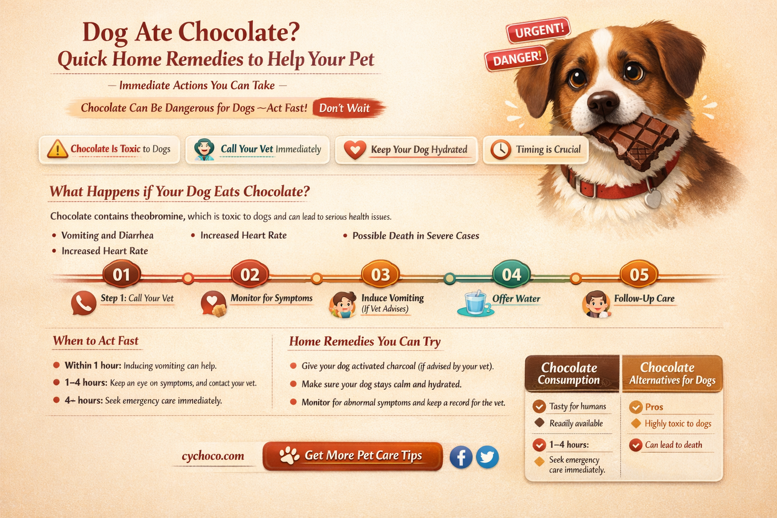 what to do when dog eats chocolate home remedies