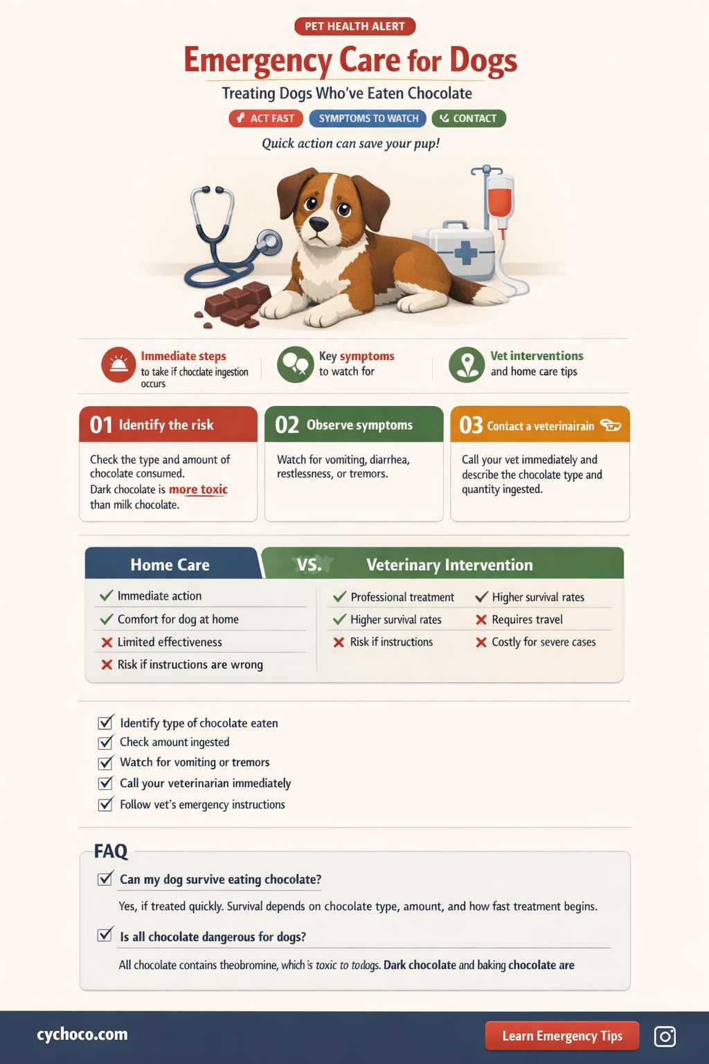 how to treat a dog that has eaten chocolate