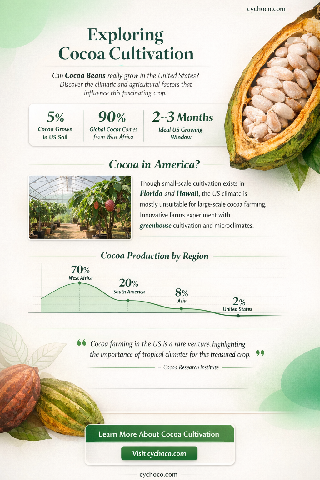 are cocoa beans grown in the united states