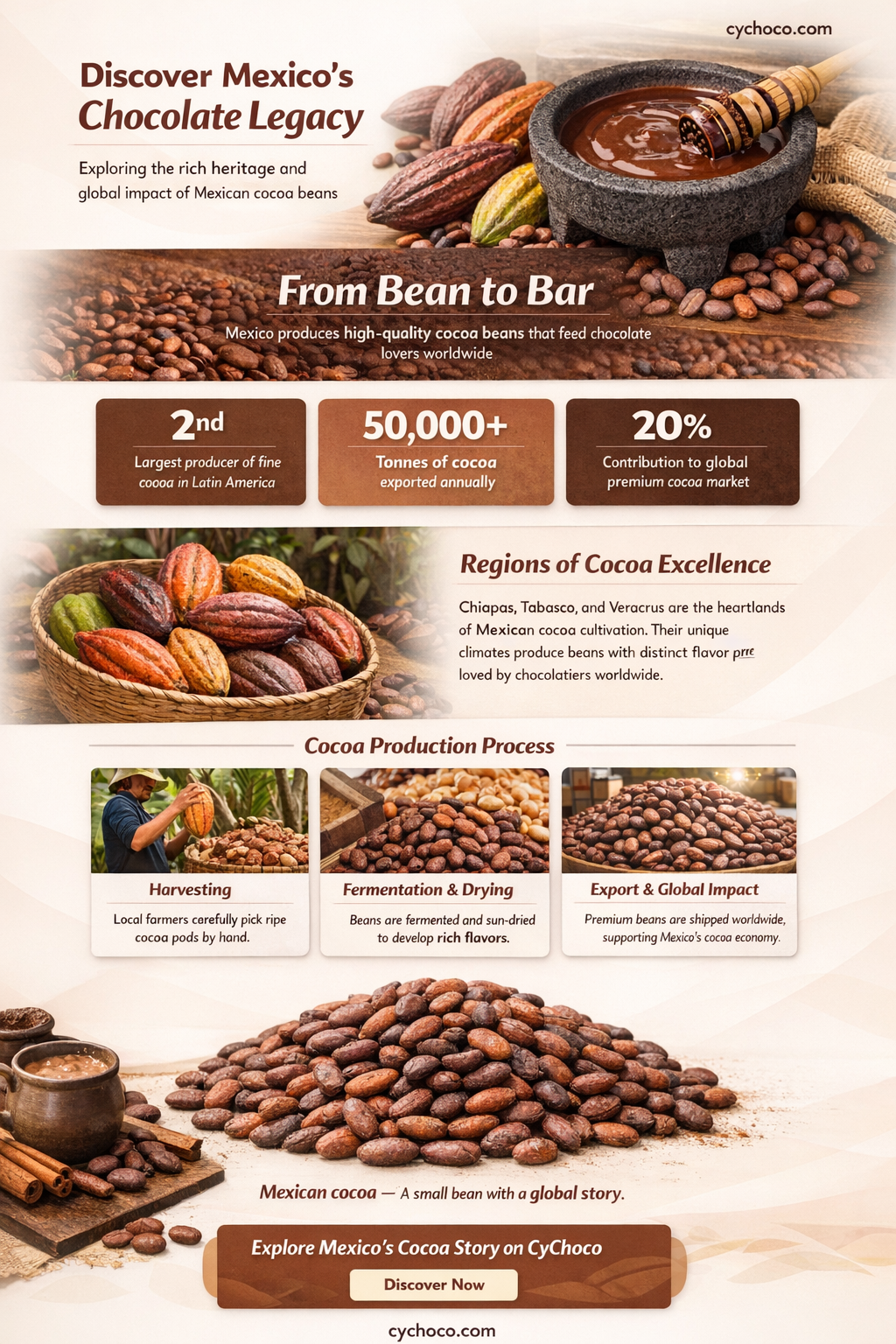 are cocoa beans grown in mexico