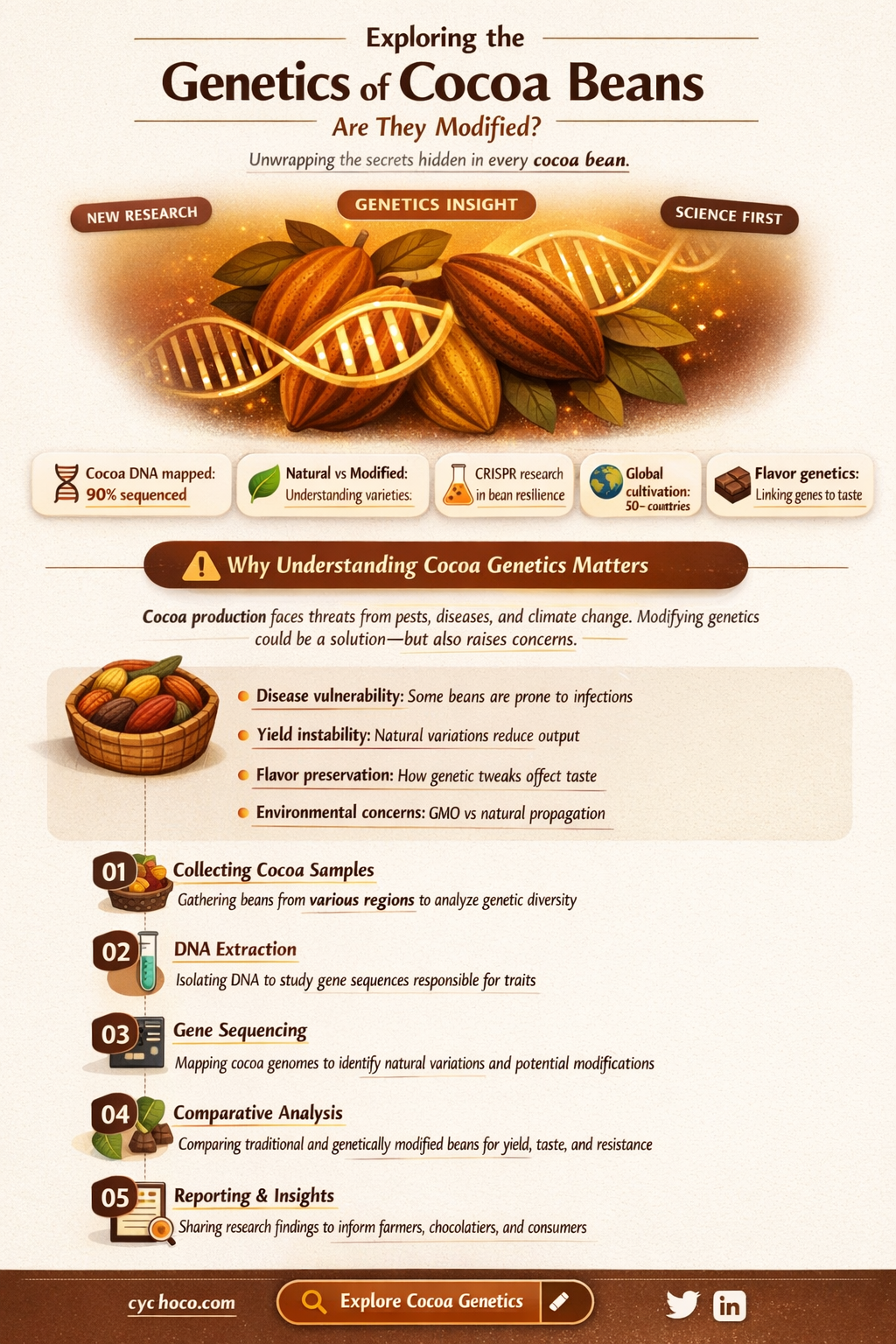 are cocoa beans genetically modified