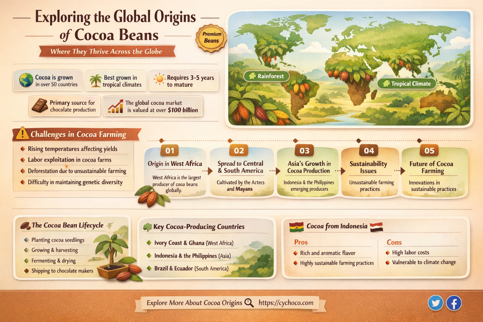 where are cocoa beans grown