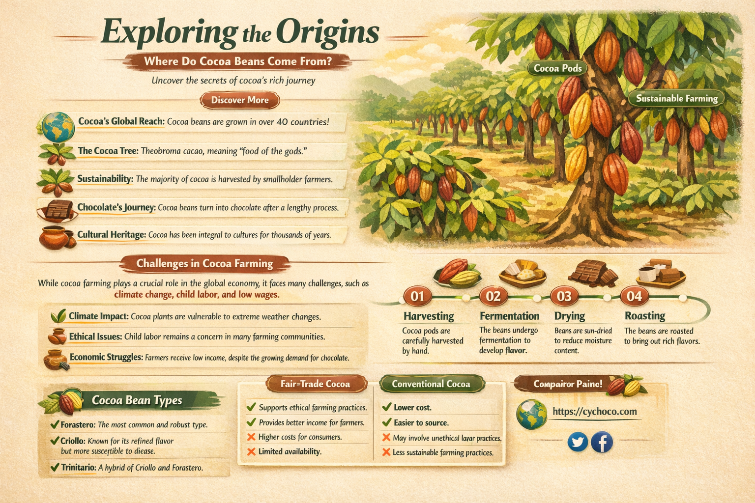where do the cocoa beans come from